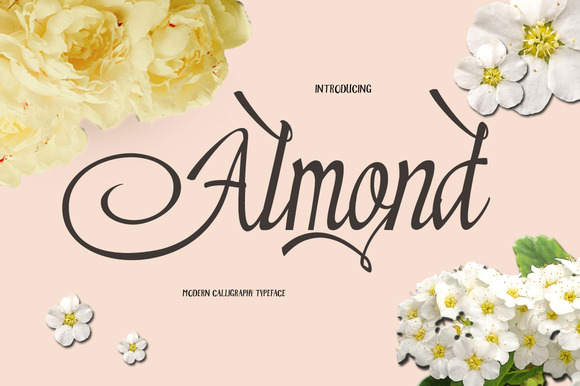 Almond Font for Modern Web Design and Branding
