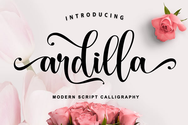 Ardilla Font for Handmade Creators and Printable Designers