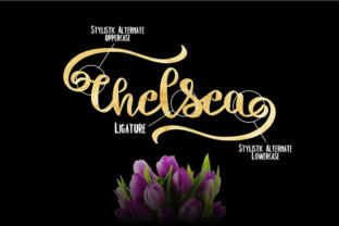 Chelsea: A Hand-Lettered Script Font for Creative Campaigns