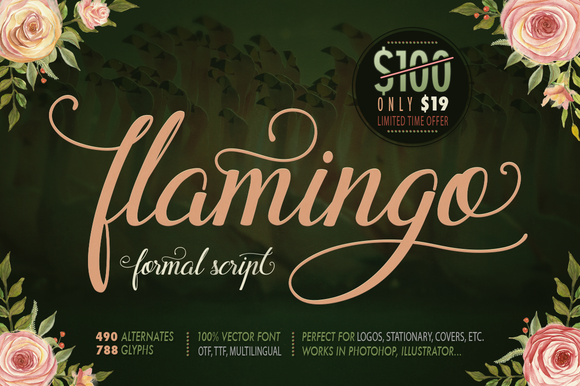Flamingo Font for Polished Branding and Creative Projects