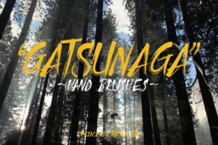 Gatsunaga Hand Brushes Font Review