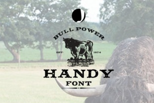Handy: A Vintage Serif Font for Timeless Editorial Design