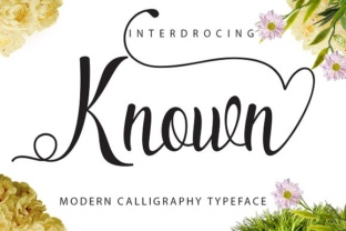 Known: A Handwritten Script Font for Modern Branding