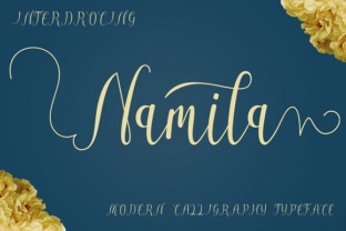 Namila: A Handwritten Script Font for Creative Branding