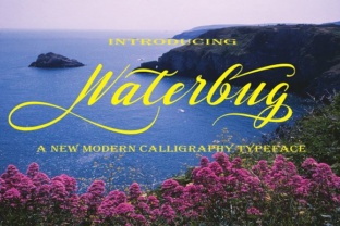 Waterbug: A Handwritten Font That Elevates Handmade Creations